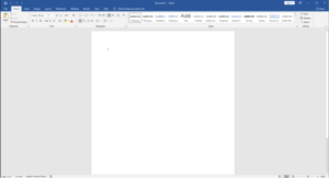 office 2019 pro word